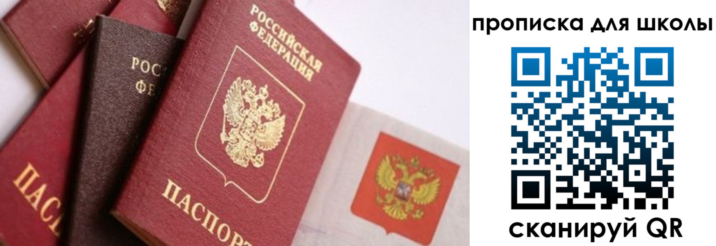 прописка поиск в Светлограде